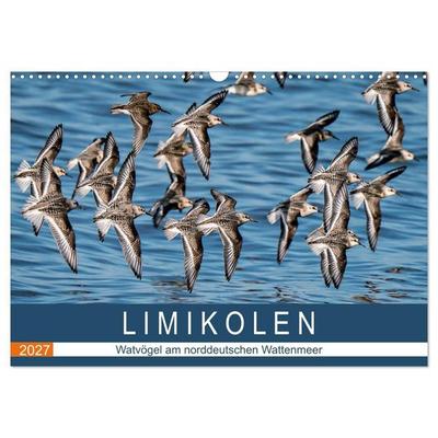 Limikolen - Watvögel am norddeutschen Wattenmeer (Wandkalender 2027 DIN A3 quer), CALVENDO Monatskalender