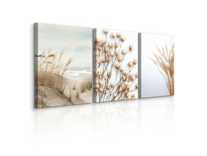 LEINWANDBILDER 3-es Set Pflanzen Strand
