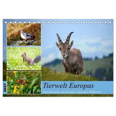 Tierwelt Europas - Naturkalender mit Europas schönsten Wildtieren (Tischkalender 2027 DIN A5 quer), CALVENDO Monatskalender