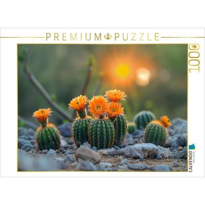 CALVENDO Puzzle Orange blühende Kakteen | 1000 Teile Lege-Größe 64x48cm Foto-Puzzle für glückliche Stunden