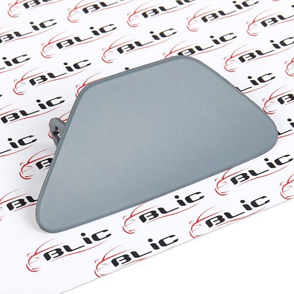 BLIC 5513-00-0067921MP Bumper moulding