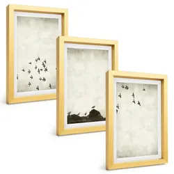 BILDER SET 3er Set - 20x30 cm Goldrahmen - Vögel im Flug, minimalistischer Stil