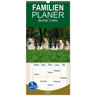 Familienplaner 2027 - Border Collie 2027 mit 5 Spalten (Wandkalender, 21 x 45 cm) CALVENDO