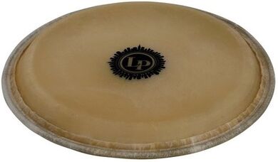LP "267B Conga Head City EZ 11""
