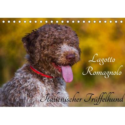 Lagotto Romagnolo - Italienischer Trüffelhund (Tischkalender 2022 DIN A5 quer)