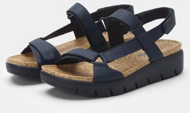 Women's Henna Sandal by Alegria in Navy (Size 6 M)