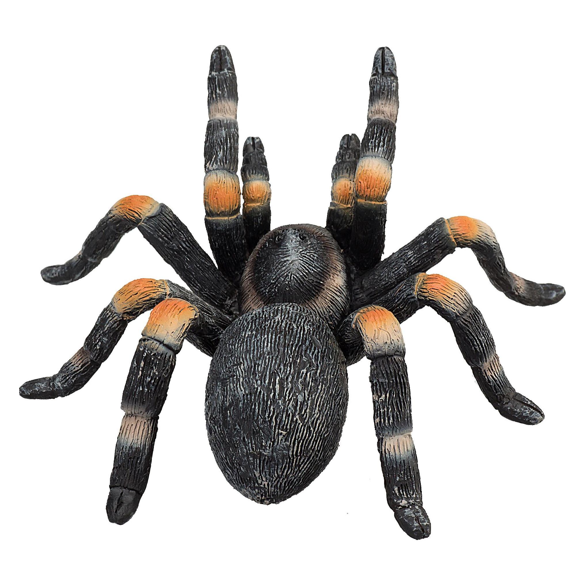 Animal Planet Tarantula (387213)