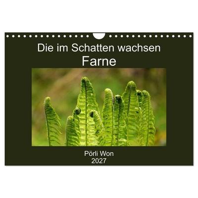 Die im Schatten wachsen - Farne (Wandkalender 2027 DIN A4 quer), CALVENDO Monatskalender