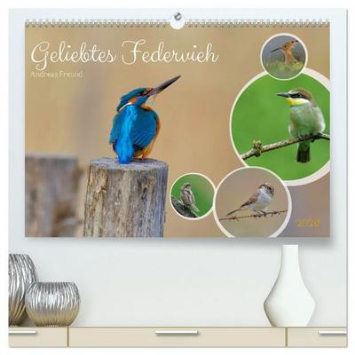 Geliebtes Federvieh (hochwertiger Premium Wandkalender 2026 DIN A2 quer), Kunstdruck in Hochglanz
