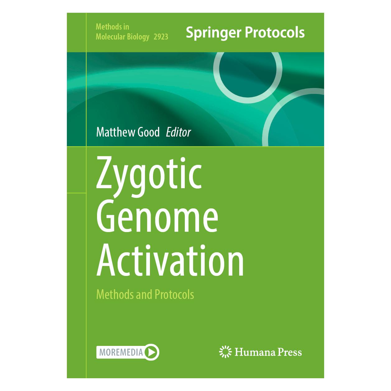 Springer Zygotic Genome Activation (Englisch, Hardcover, C Good, Matthew) (63310052)