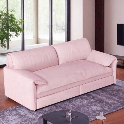"66"" Velvet 3-in-1 Queen Pull-Out Sleeper Loveseat Sofa with Side Storage"