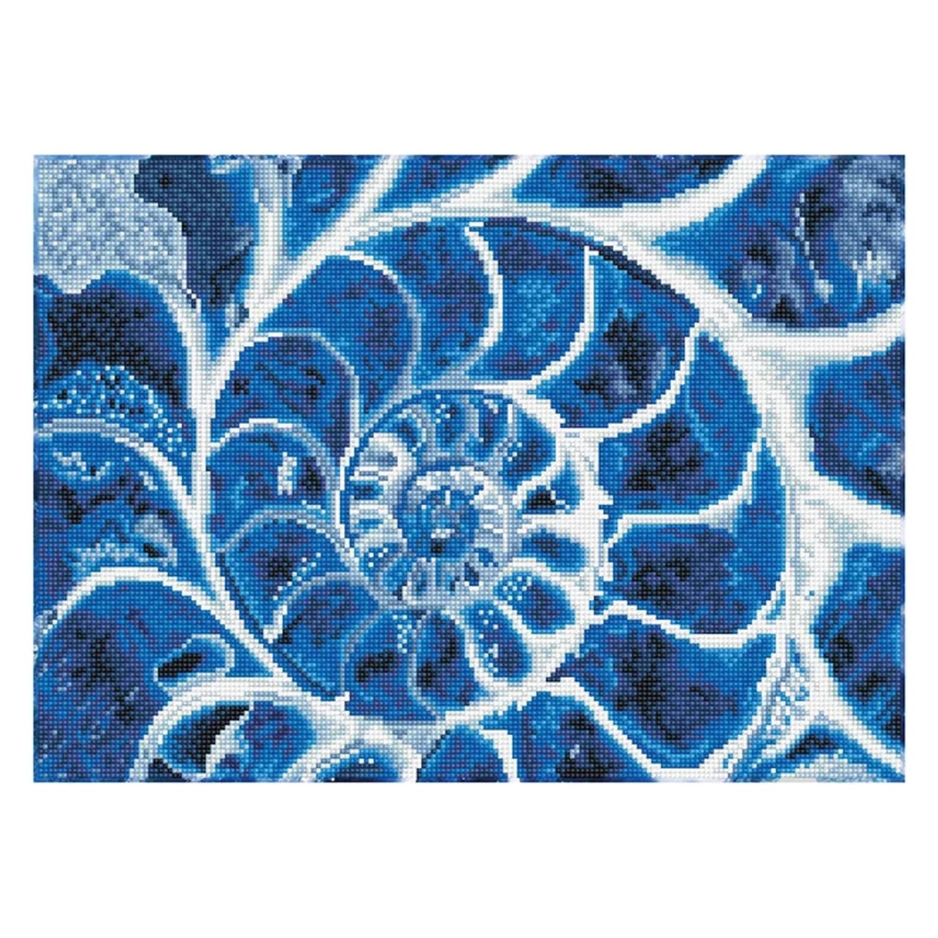 Diamond Dotz Diamond Painting Blaue Nautilus (DD9.057)