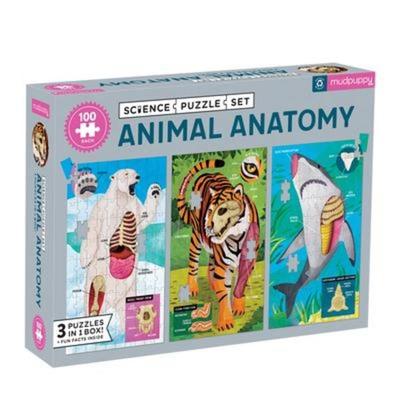 Animal Anatomy Science Puzzle Set