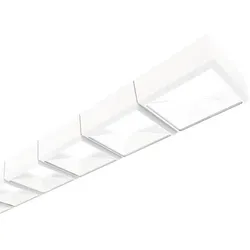 Siteco 5MZ323D04WA Office-Leuchte 4000K DALI LED Scriptus 11