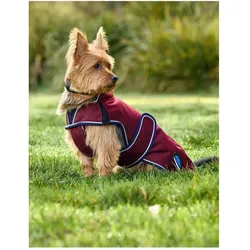 Weatherbeeta Comfitec Premier Deluxe, Hundemantel