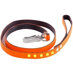 Martin Sellier Fluo (Hund, Spazieren), Halsband + Leine