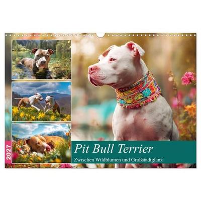Pit Bull Terrier. Zwischen Wildblumen und Großstadtglanz (Wandkalender 2027 DIN A3 quer), CALVENDO Monatskalender