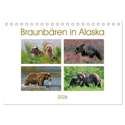 Braunbären in Alaska (Tischkalender 2026 DIN A5 quer), CALVENDO Monatskalender