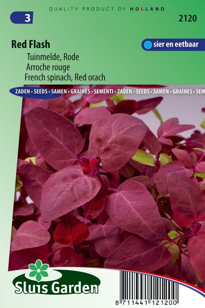 Sluis Garden Melde zaden Red Flash