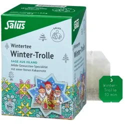 Salus Winter Trolle Gewürztee bio (15Btl)