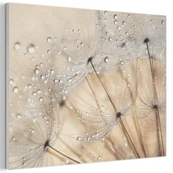AKUSTIKBILD Löwenzahn - Abstrakt - Natur - Beige Wanddeko 70x50 cm