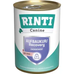 Rinti Canine Intestinal Aufbaukur 12x400 g