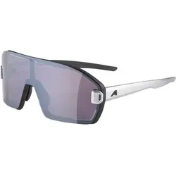 ALPINA Herren Brille BONFIRE MAG Q, Größe ONE SIZE in Grau Grau