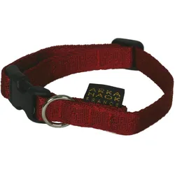 Arka Verstellbares Hundehalsband (Hund, Allgemein, Spazieren), Halsband + Leine