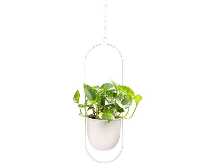 QUVIO Hangende Bloempot – Bloempot voor binnen – Bloempotten – Bloempot binnen- Bloempot – Hangbloempotten binnen – Hang bloempot – Bloempot hangend – Bloempot lichtgrijs – Hangende bloempot wit – Metaal – Langwerpig - Grijs
