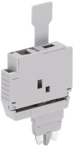 WAGO 2004-911 Sicherungsstecker