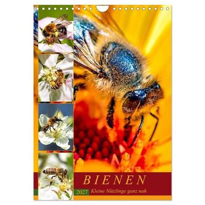 BIENEN - Kleine Nützlinge ganz nah (Wandkalender 2027 DIN A4 hoch), CALVENDO Monatskalender