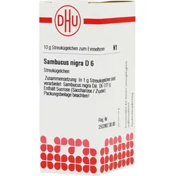 Sambucus Nigra D 6 10 G