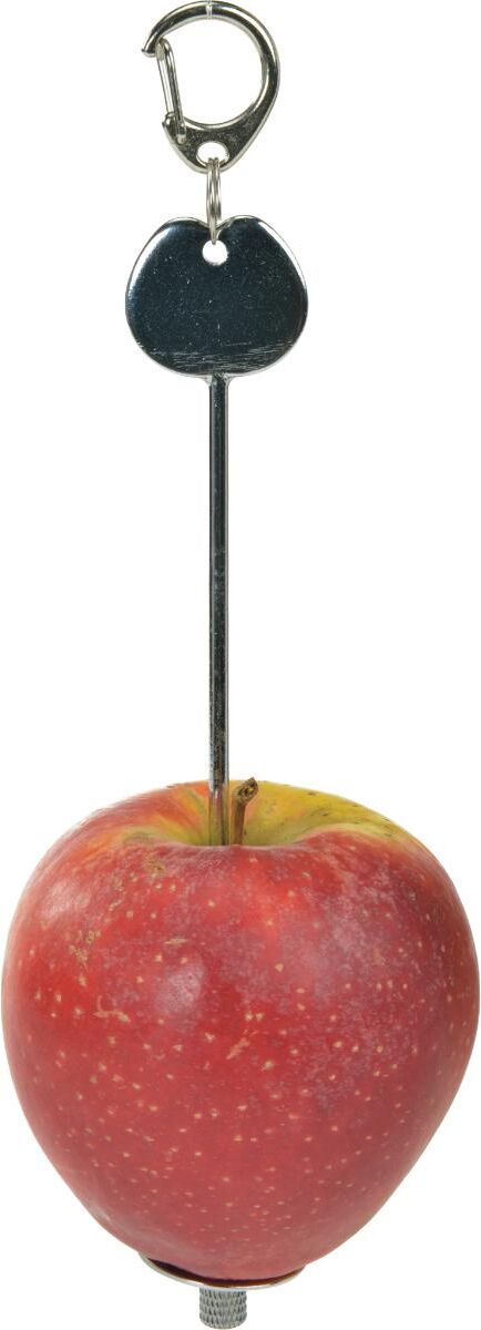 Anione Spiedino Porta Frutta per Roditori 20CM