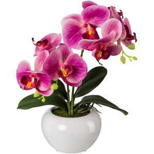 Creativ-green Kunstblume Orchidee, Phalaenopsis, fuchsia, im Keramik-Topf, Höhe 35 cm