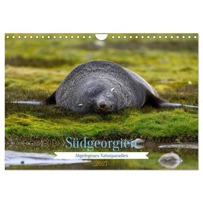 Südgeorgien - Abgelegenes Naturparadies (Wandkalender 2027 DIN A4 quer), CALVENDO Monatskalender