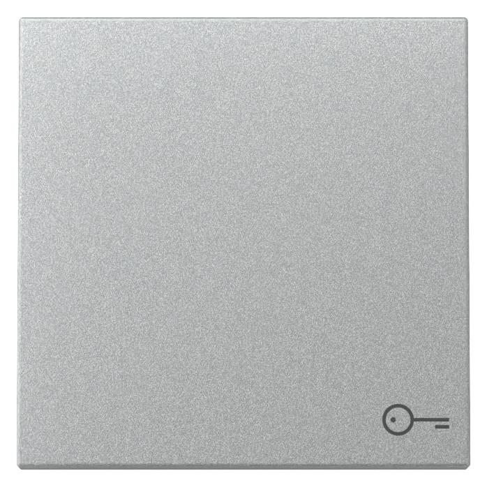 Gira Wippe Symb. Tür (328726)
