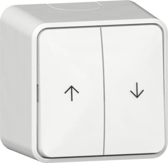 Gira Wipp-Jalousieschalter 10AX 250V Reinweiß Pfeile Montageplatte (315913)