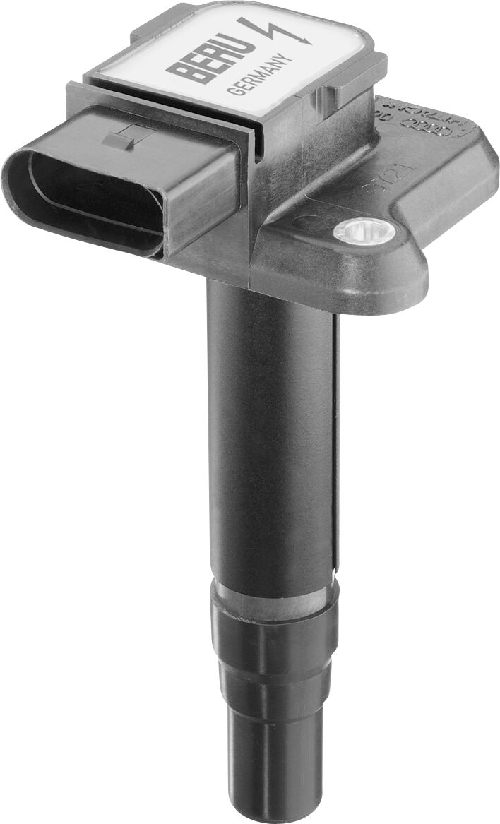 Borgwarner (Beru) Zündspule Zse009 Für Vag