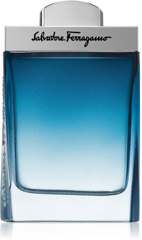 Ferragamo Subtil Pour Homme EDT für Herren 100 ml