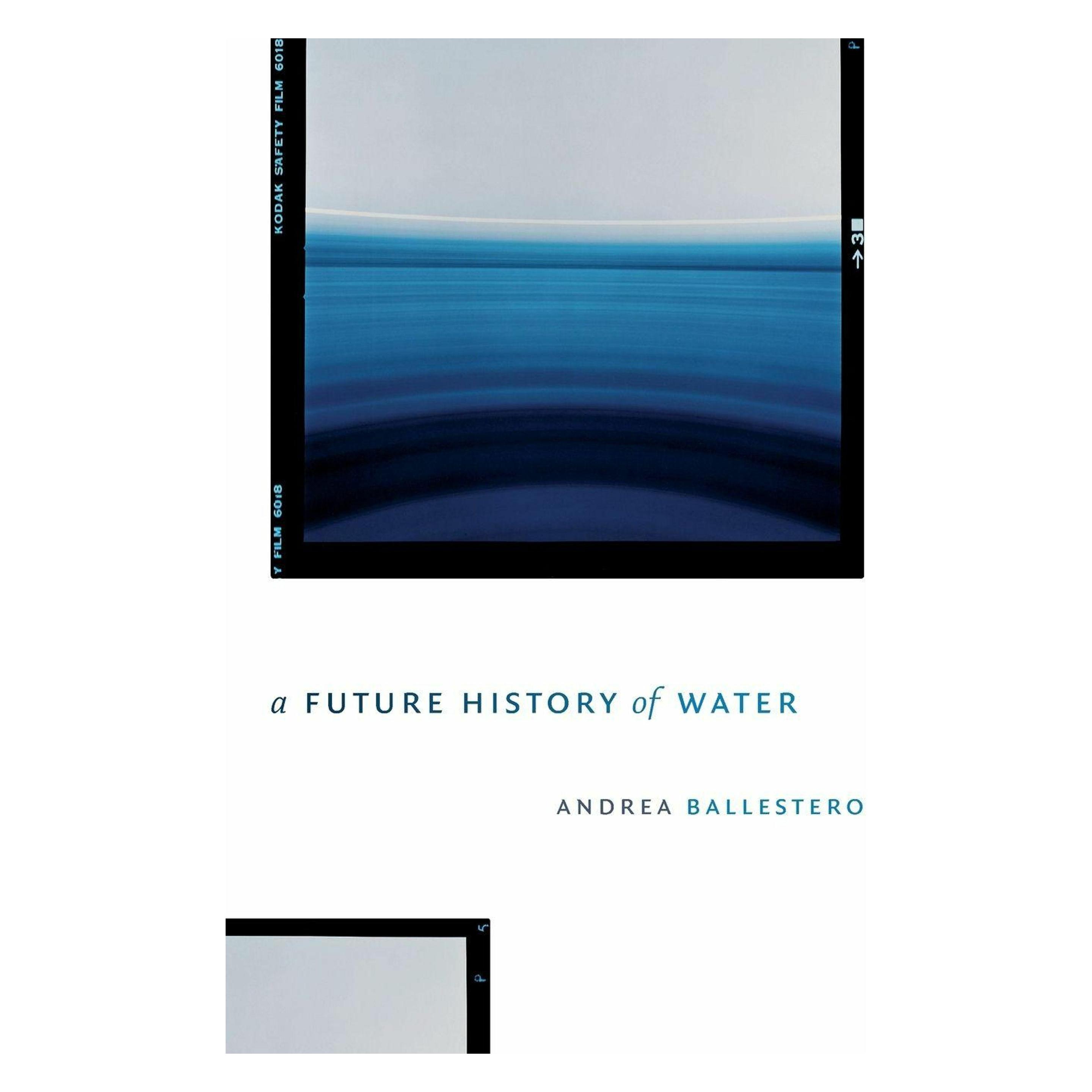 Duke Univ Pr A Future History of Water (Englisch, Andrea Ballestero) (50812338)