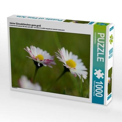 CALVENDO Puzzle kleine Gänseblümchen ganz groß | 1000 Teile Lege-Größe 64x48cm Foto-Puzzle für glückliche Stunden
