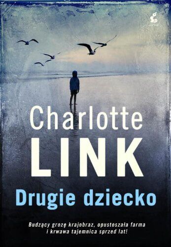Charlotte Link - Drugie dziecko - Preis vom 13.10.2026 19:28:25 h