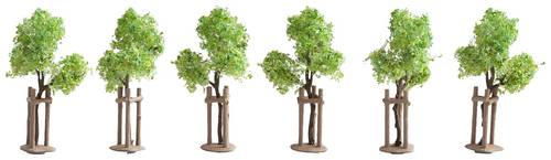 NOCH 21538 Baumpackung Jungbaum 40mm (min) 6St.