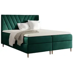 BOXBETT Espen