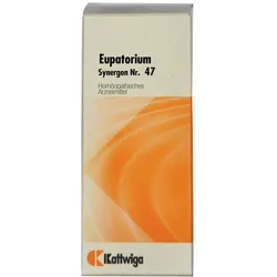 Synergon Komplex 47 Eupatorium Tropfen 50 ml