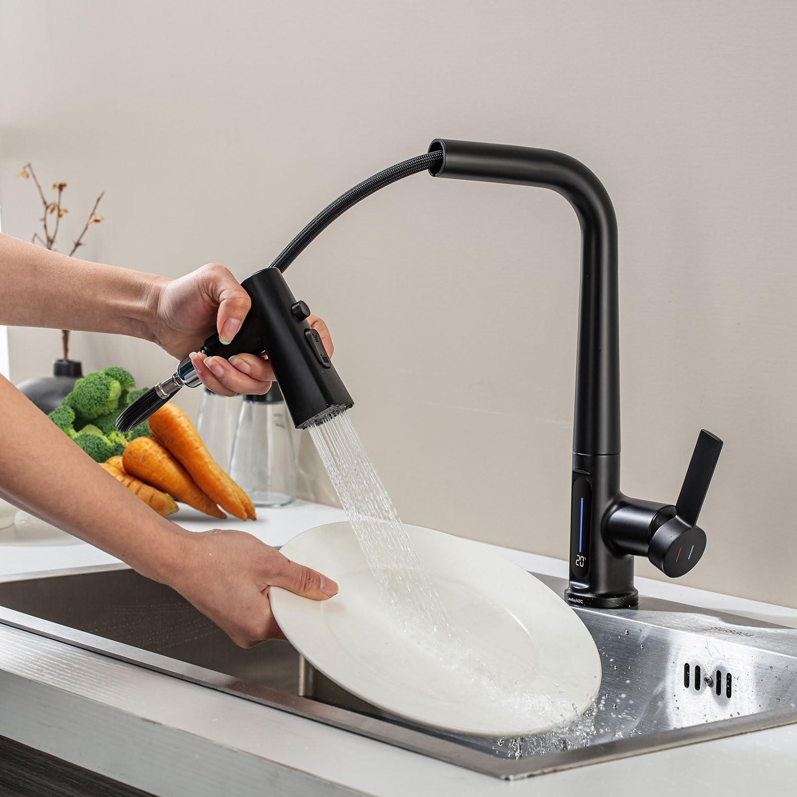 Dripio Keukenmengkraan met uitschuifbare douche, LED-verlichting en 3 straalstanden, mat zwart