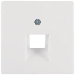 Berker 14076089 Berker Zentralstück für UAE Steckdose Serie Q.x polarweiß, samt