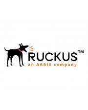 CommScope Ruckus Premium Layer 3 Lizenz 1 Switch für Brocade ICX 7250-24 7250-24G 7250-24P 7250-48 7250-48P (ICX7250-PREM-LIC)