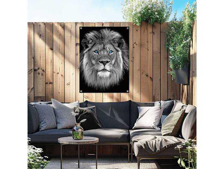 Outdoor-Poster Löwe mit blaue Augen PVC Schwarz/Schwarz 60 x 80 x 0cm