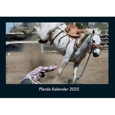 Pferde Kalender 2025 Fotokalender DIN A4